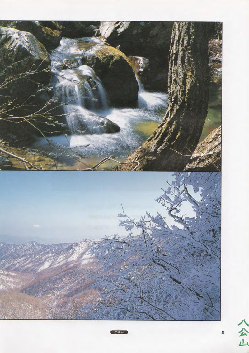 향토와 문화 vol.1 팔공산을 뵈옵다(1996년1,2월호) 21페이지