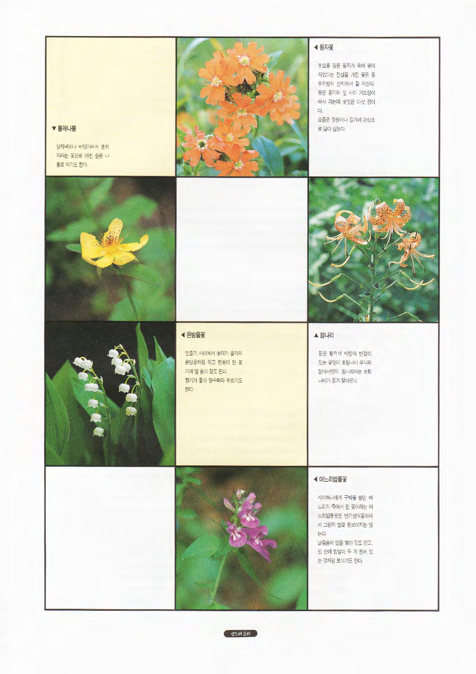 향토와 문화 vol.1 팔공산을 뵈옵다(1996년1,2월호) 80페이지