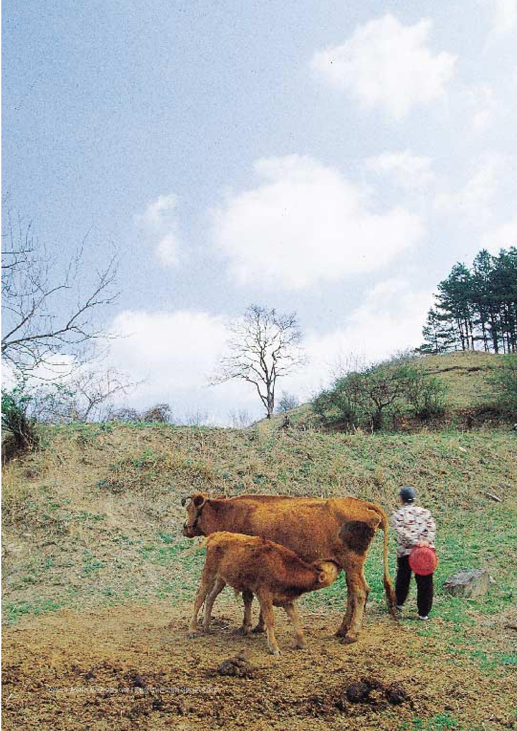 향토와 문화 vol.2 길위의 삶, 길위의 풍경(1996년5,6월호) 34페이지