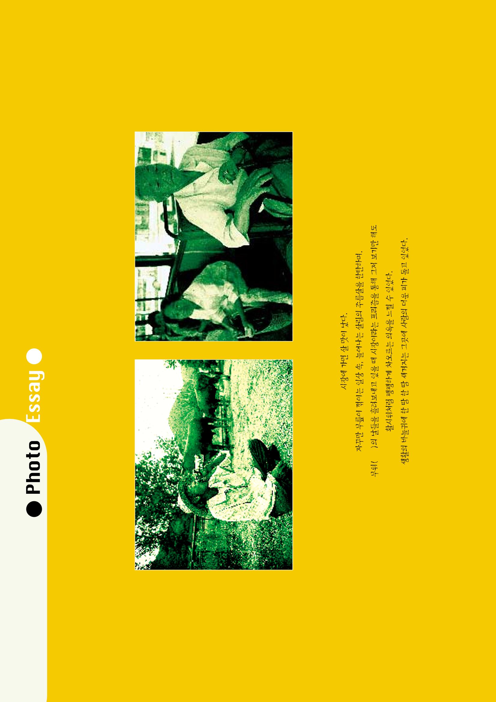 향토와 문화 vol.3 市場(1996년9,10월호) 49페이지
