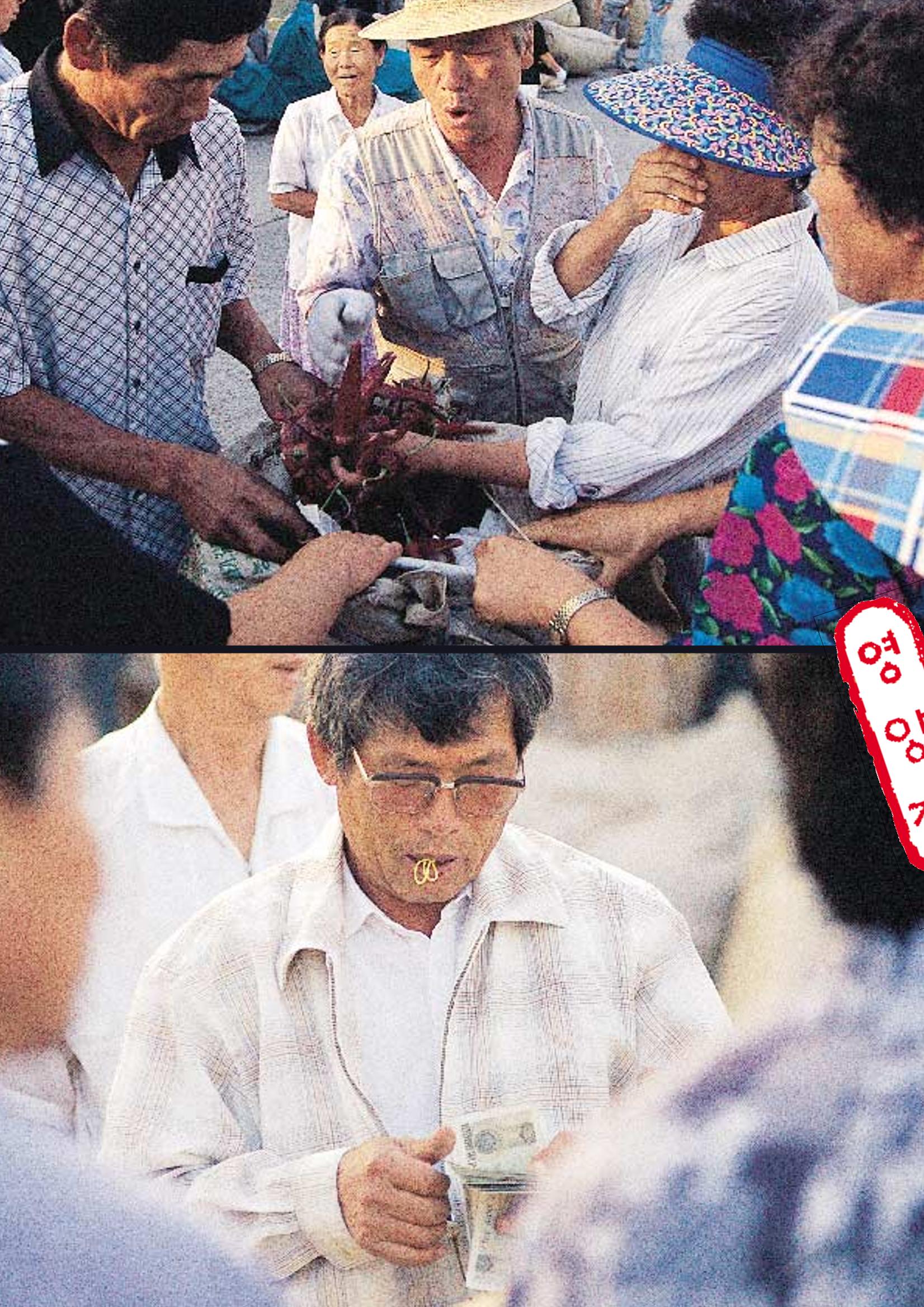향토와 문화 vol.3 市場(1996년9,10월호) 81페이지
