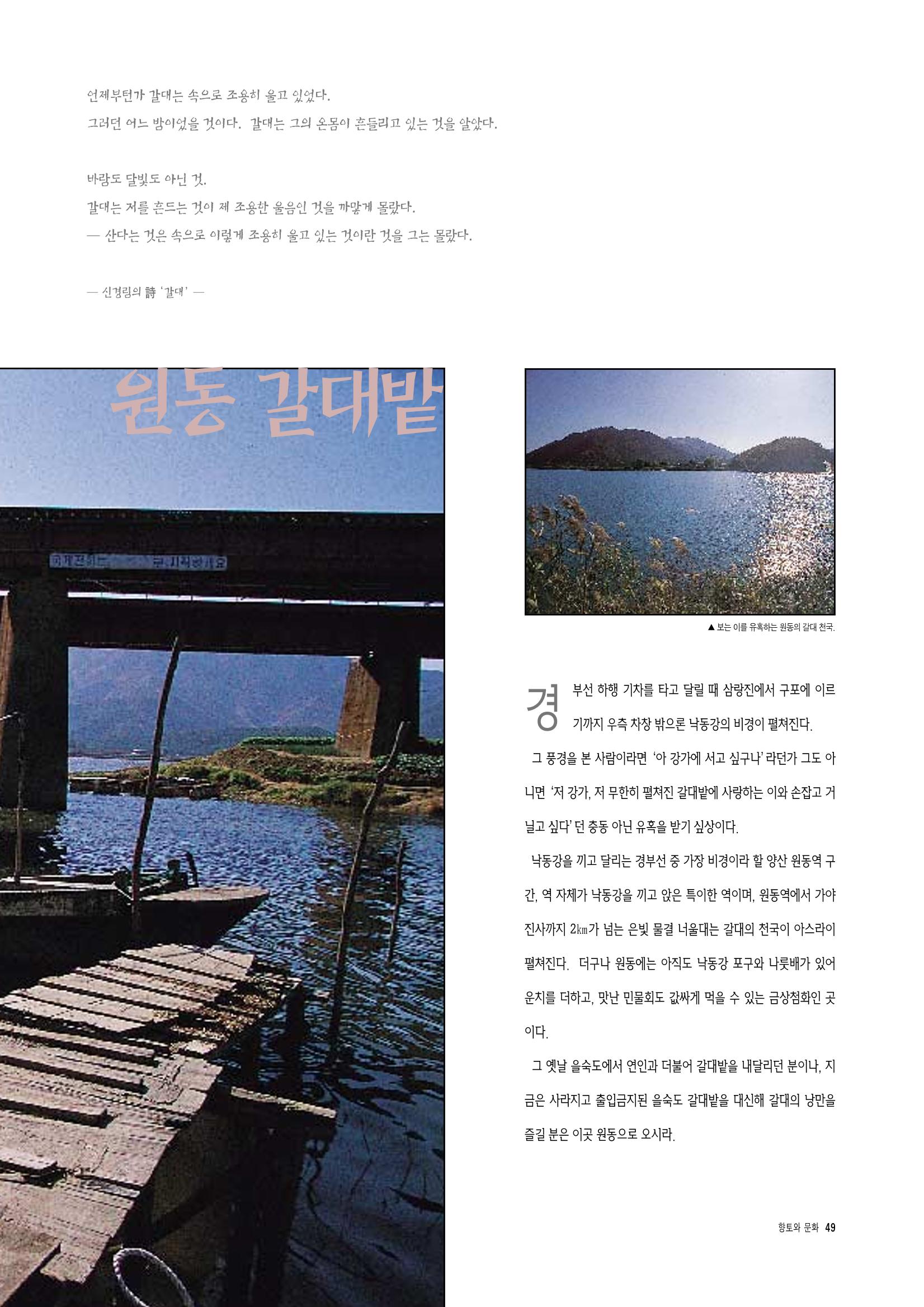 향토와 문화 vol.4 낙동강(1996년11,12월호) 50페이지