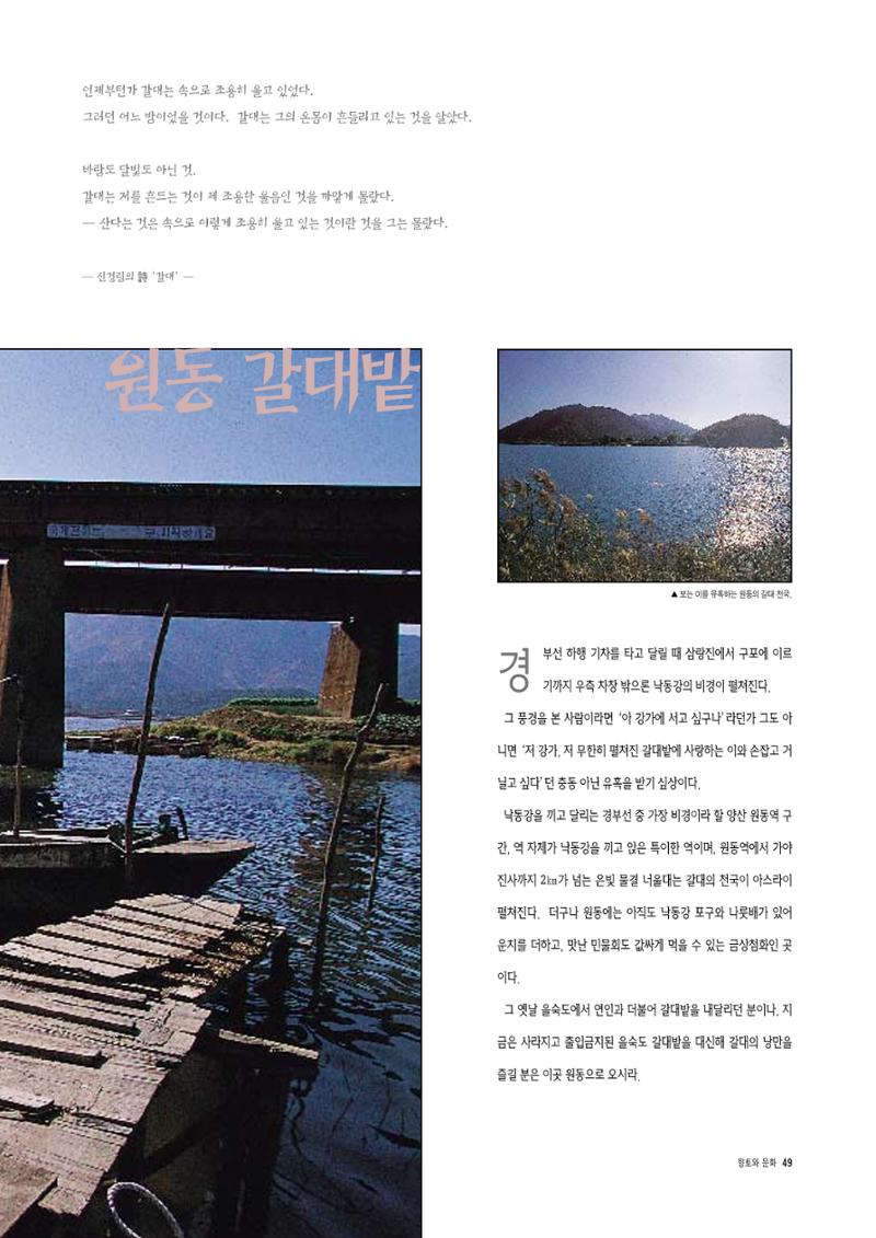 향토와 문화 vol.4 낙동강(1996년11,12월호) 50페이지