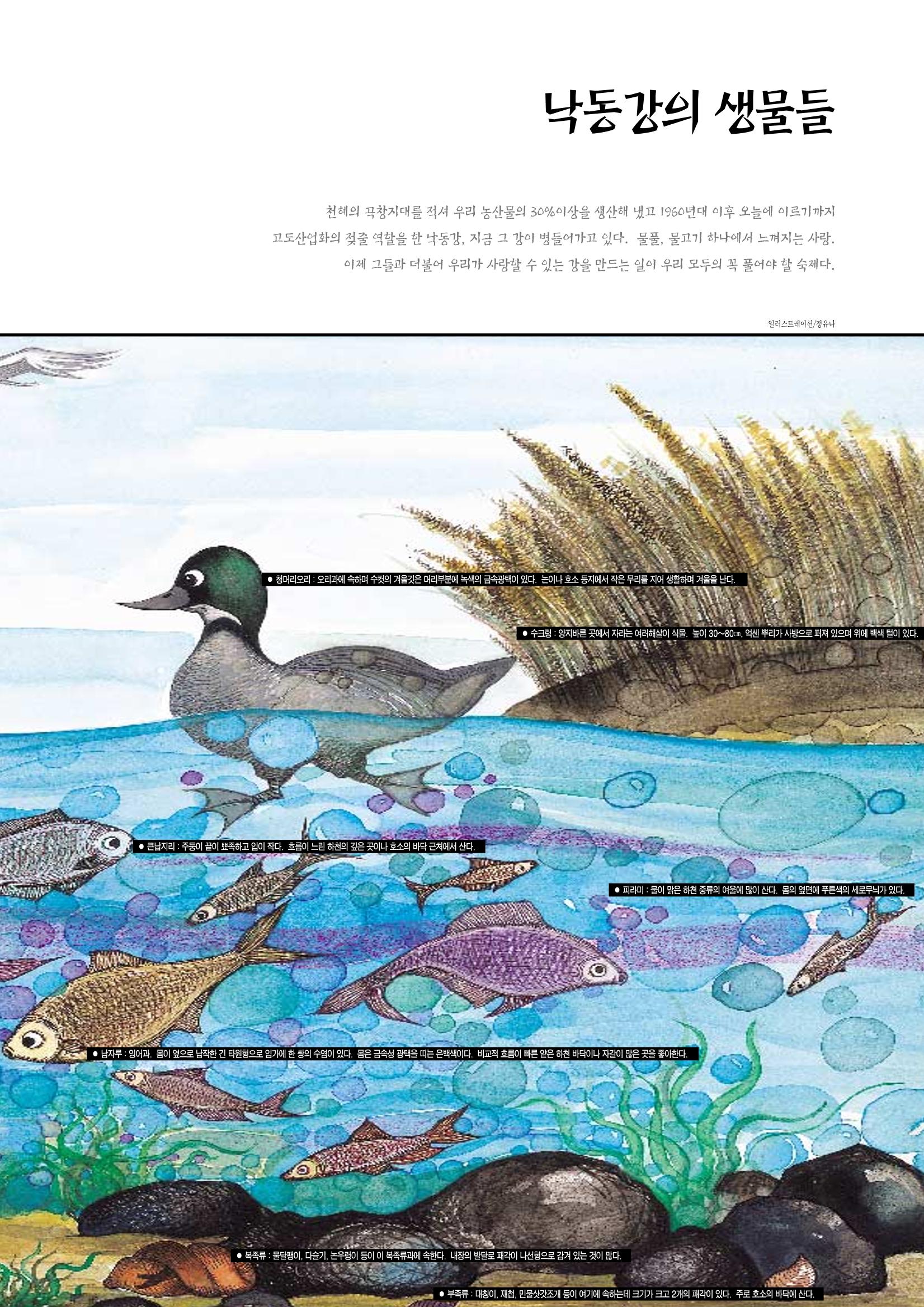 향토와 문화 vol.4 낙동강(1996년11,12월호) 88페이지