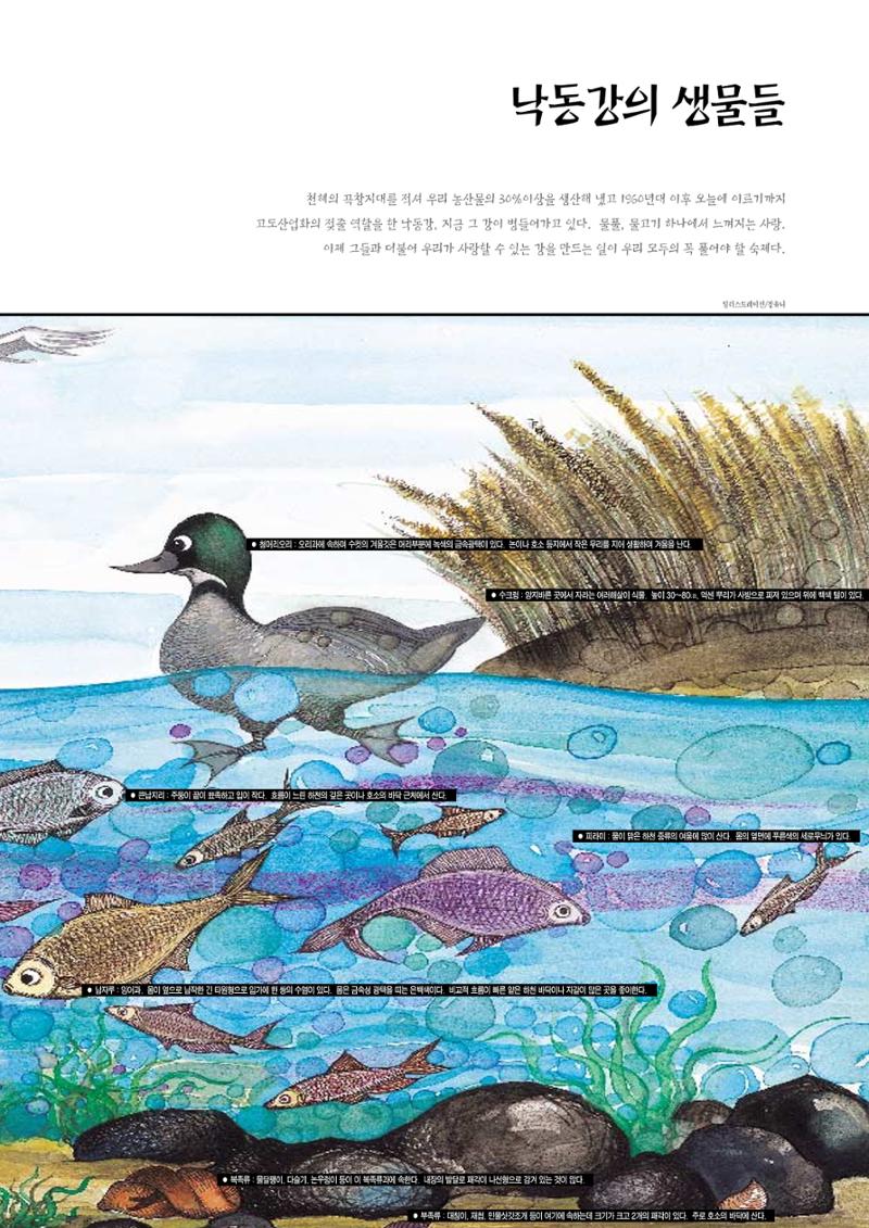 향토와 문화 vol.4 낙동강(1996년11,12월호) 88페이지