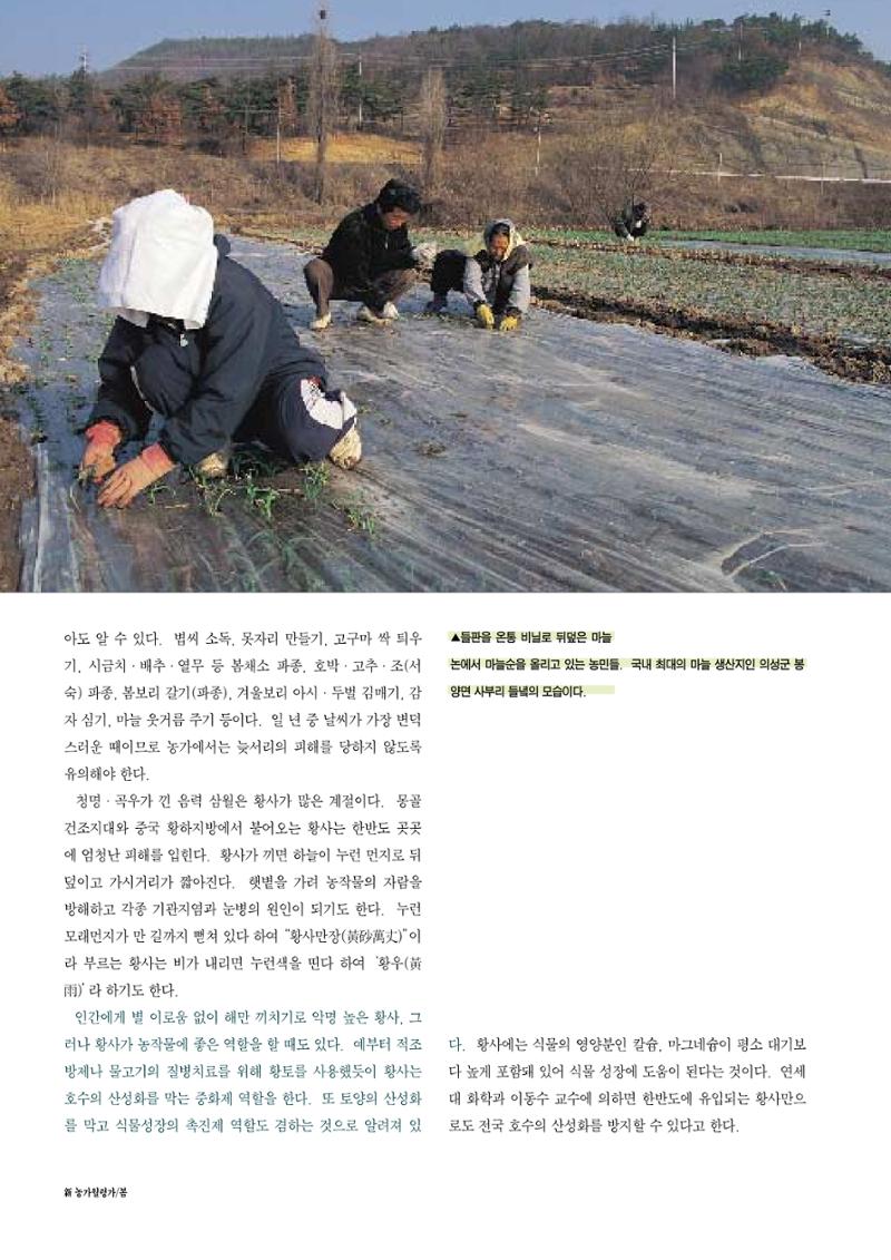 향토와 문화 vol.12 新 농가월령가(98년 11,12월) 19페이지