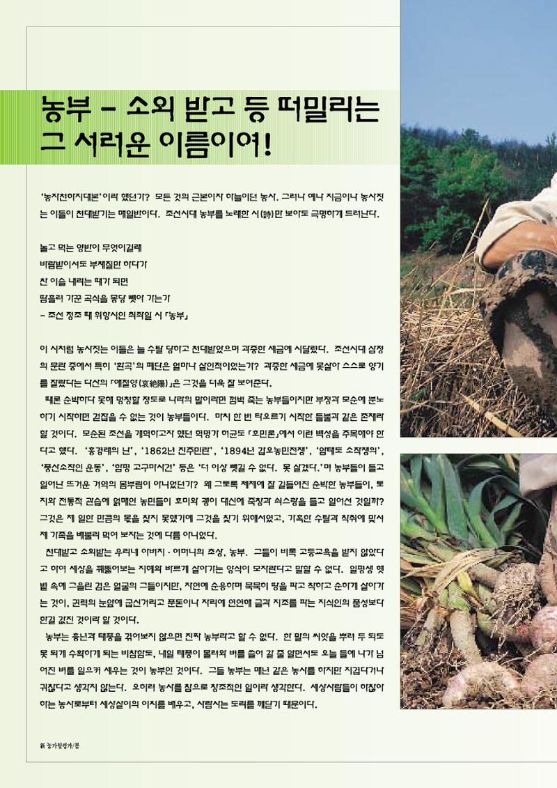 향토와 문화 vol.12 新 농가월령가(98년 11,12월) 21페이지