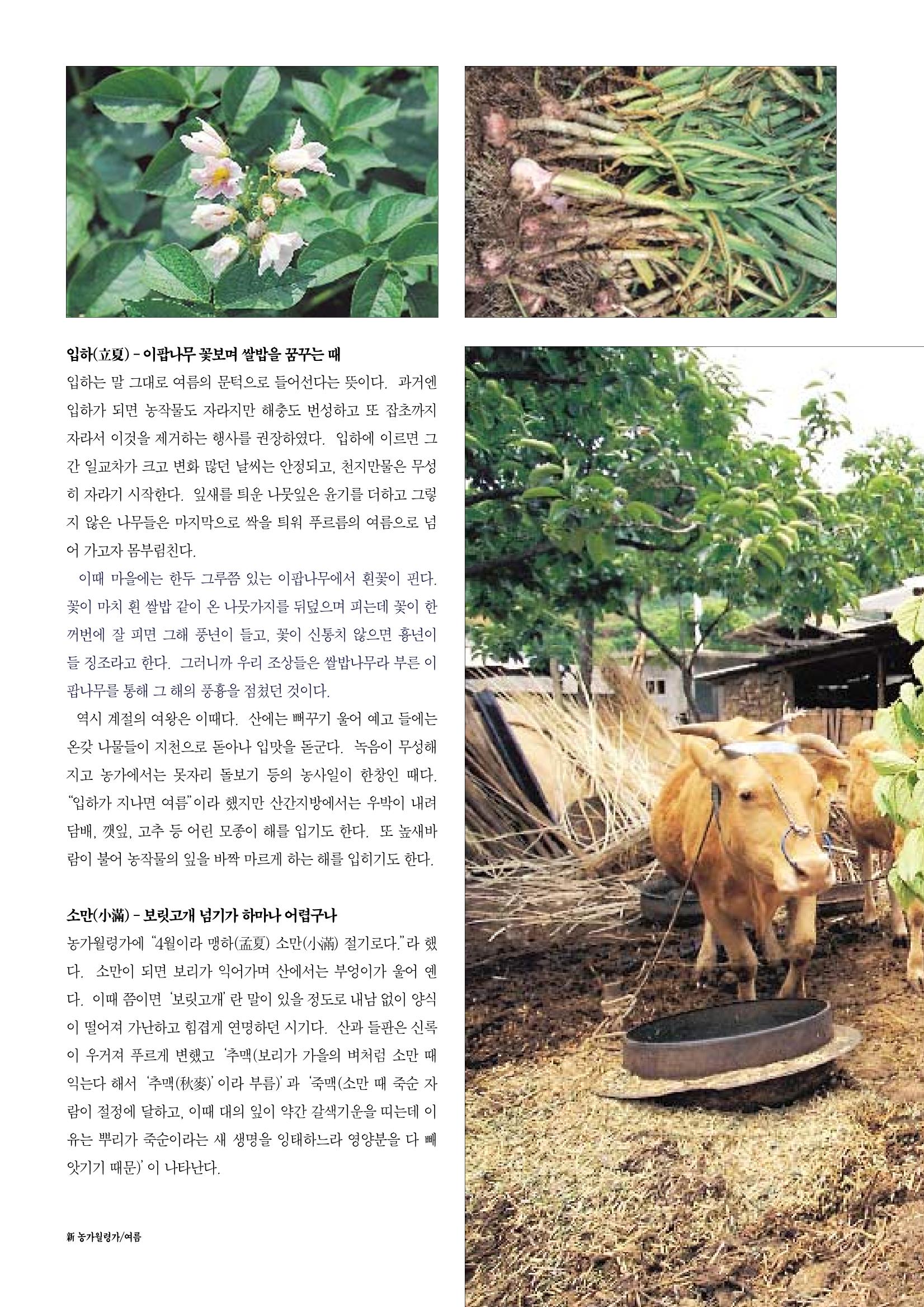 향토와 문화 vol.12 新 농가월령가(98년 11,12월) 25페이지
