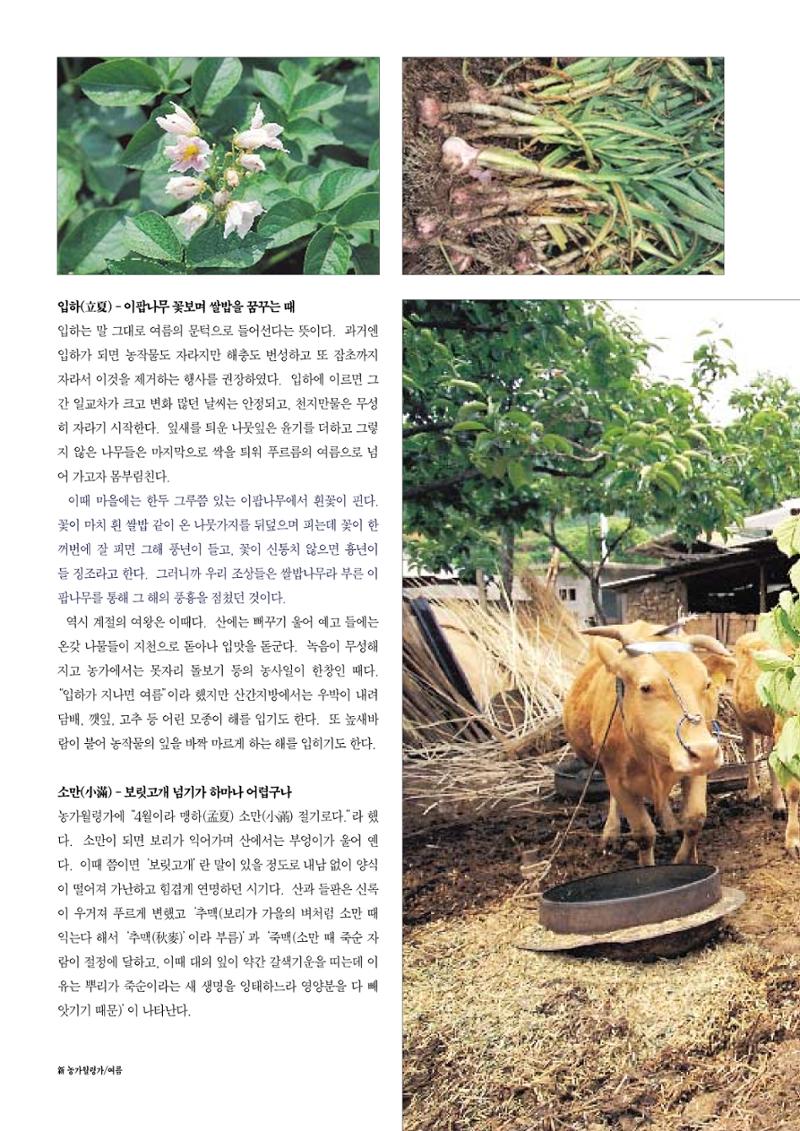 향토와 문화 vol.12 新 농가월령가(98년 11,12월) 25페이지
