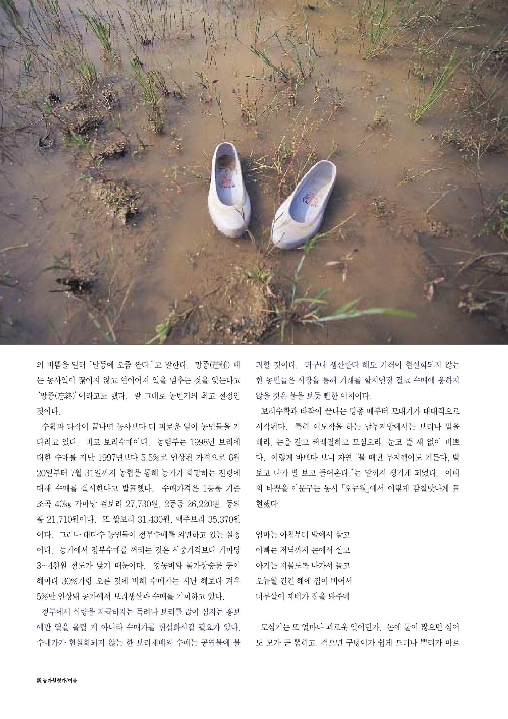향토와 문화 vol.12 新 농가월령가(98년 11,12월) 31페이지