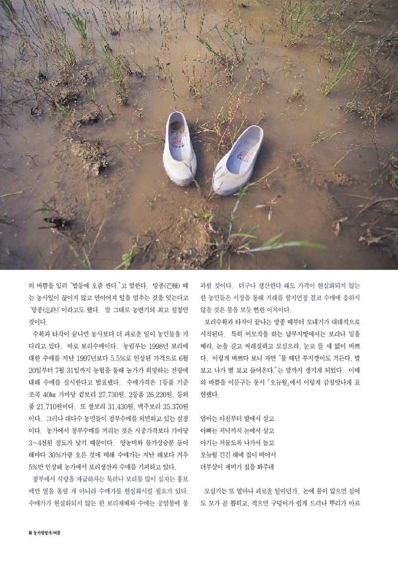 향토와 문화 vol.12 新 농가월령가(98년 11,12월) 31페이지
