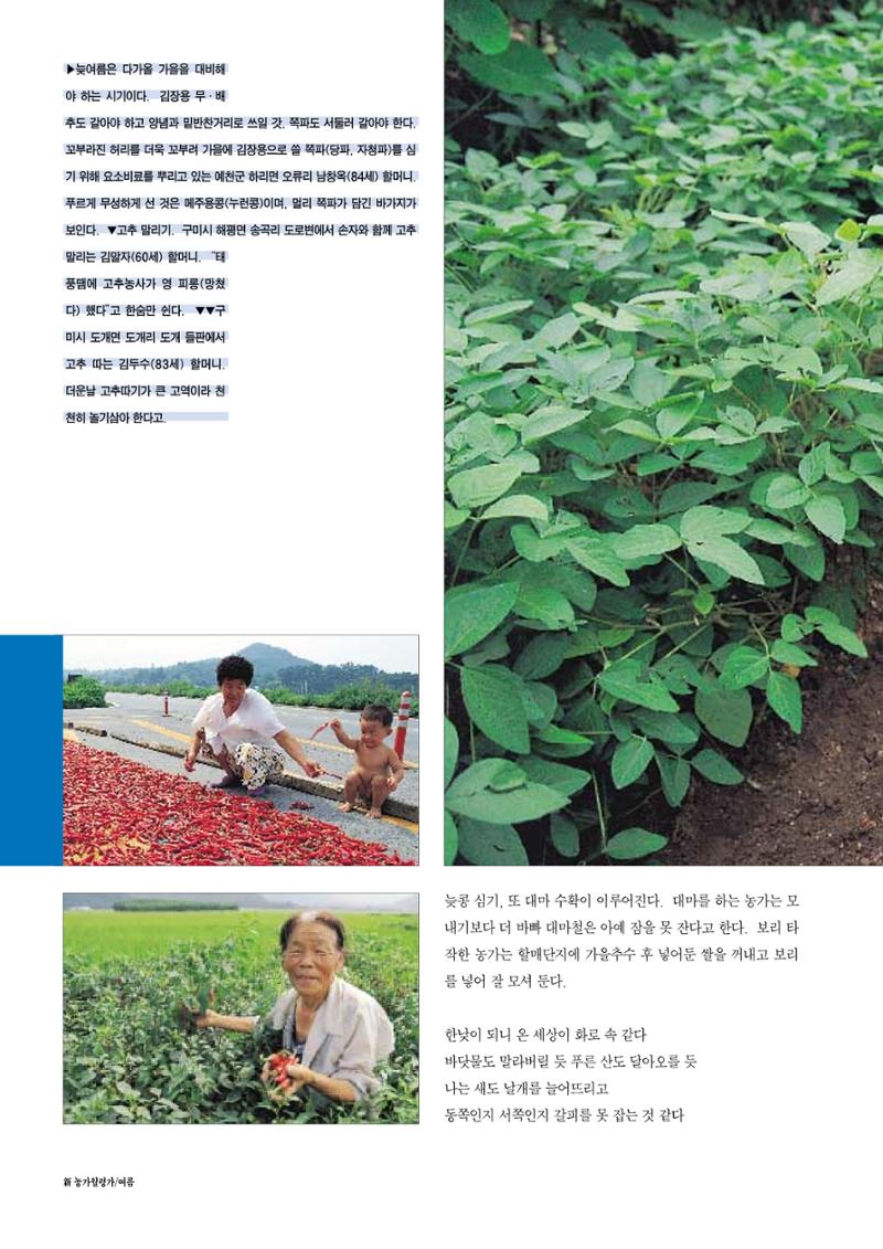 향토와 문화 vol.12 新 농가월령가(98년 11,12월) 37페이지