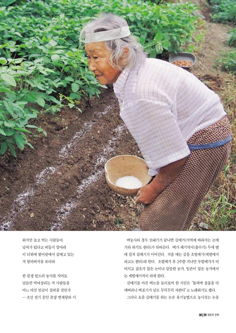 향토와 문화 vol.12 新 농가월령가(98년 11,12월) 38페이지