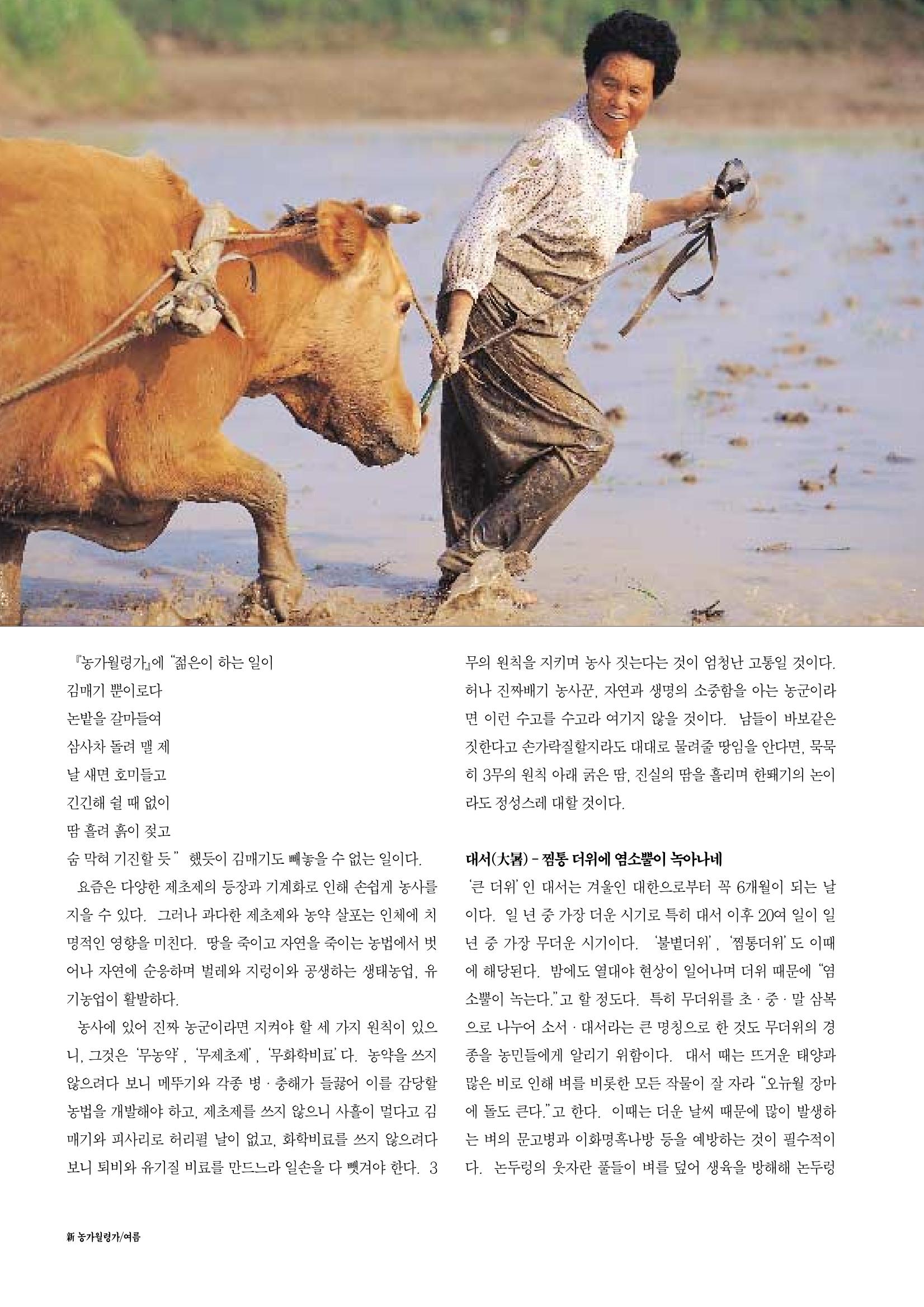 향토와 문화 vol.12 新 농가월령가(98년 11,12월) 41페이지