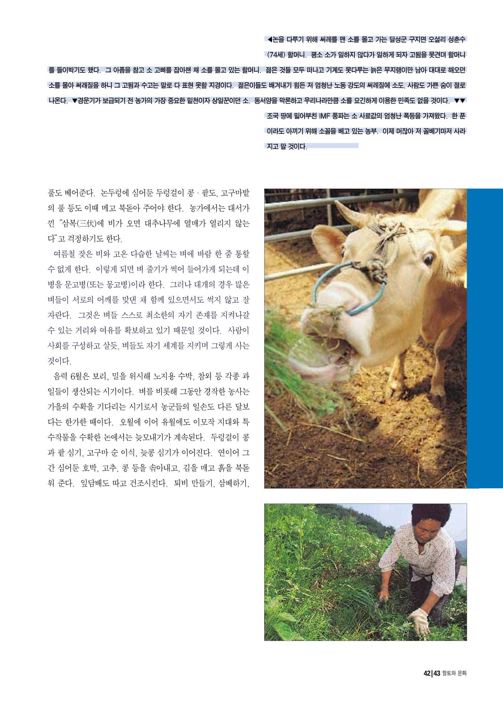 향토와 문화 vol.12 新 농가월령가(98년 11,12월) 42페이지