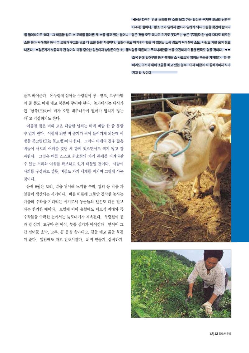 향토와 문화 vol.12 新 농가월령가(98년 11,12월) 42페이지