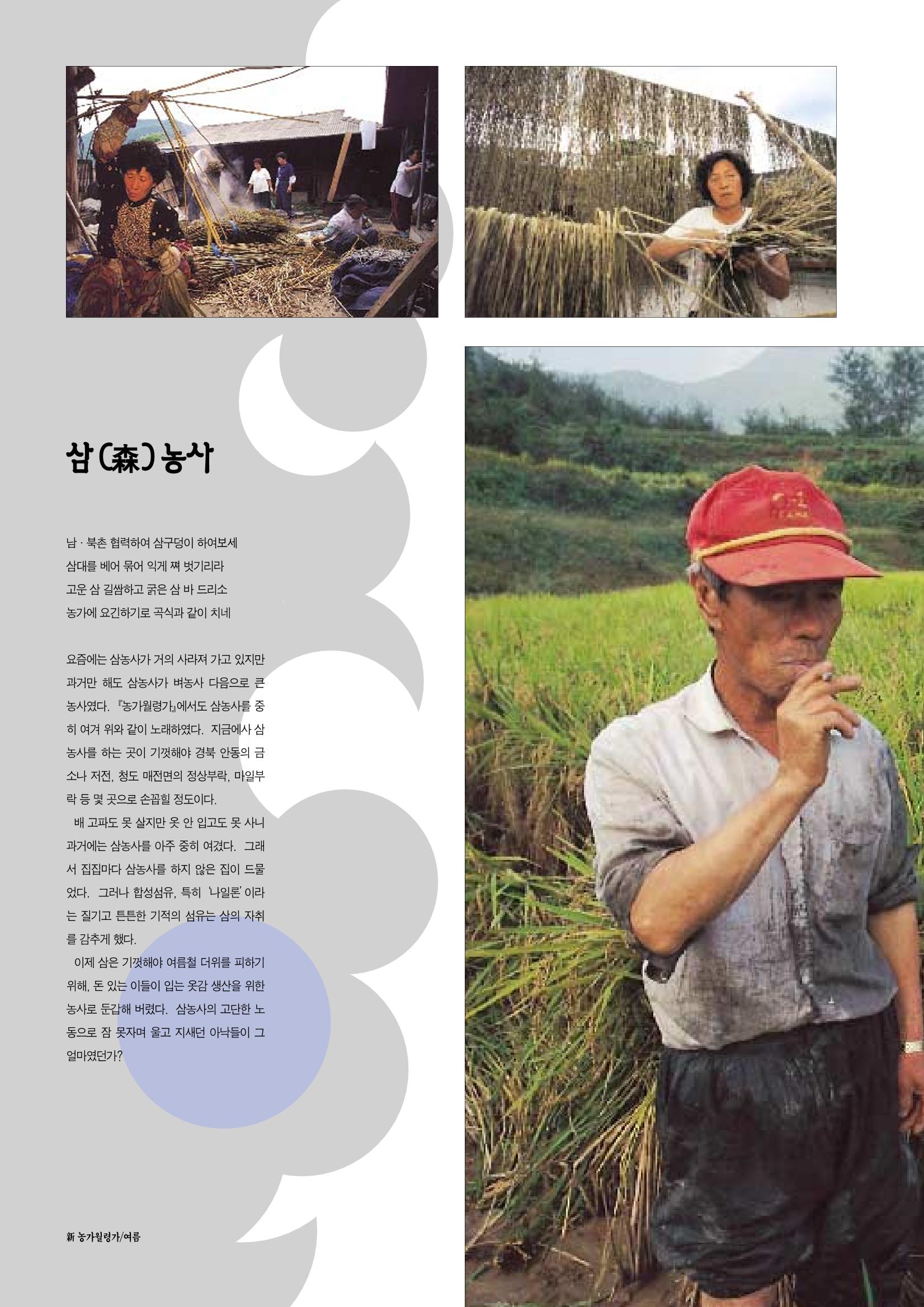 향토와 문화 vol.12 新 농가월령가(98년 11,12월) 43페이지