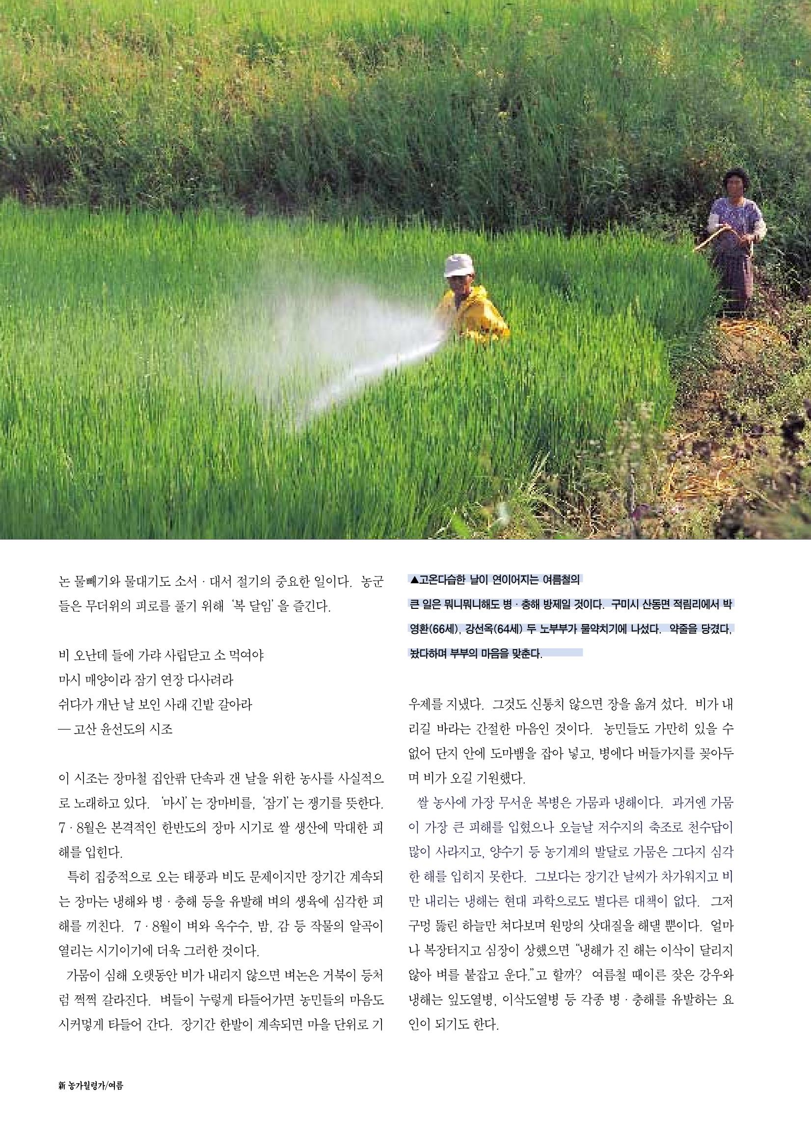 향토와 문화 vol.12 新 농가월령가(98년 11,12월) 45페이지