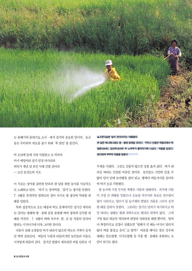 향토와 문화 vol.12 新 농가월령가(98년 11,12월) 45페이지