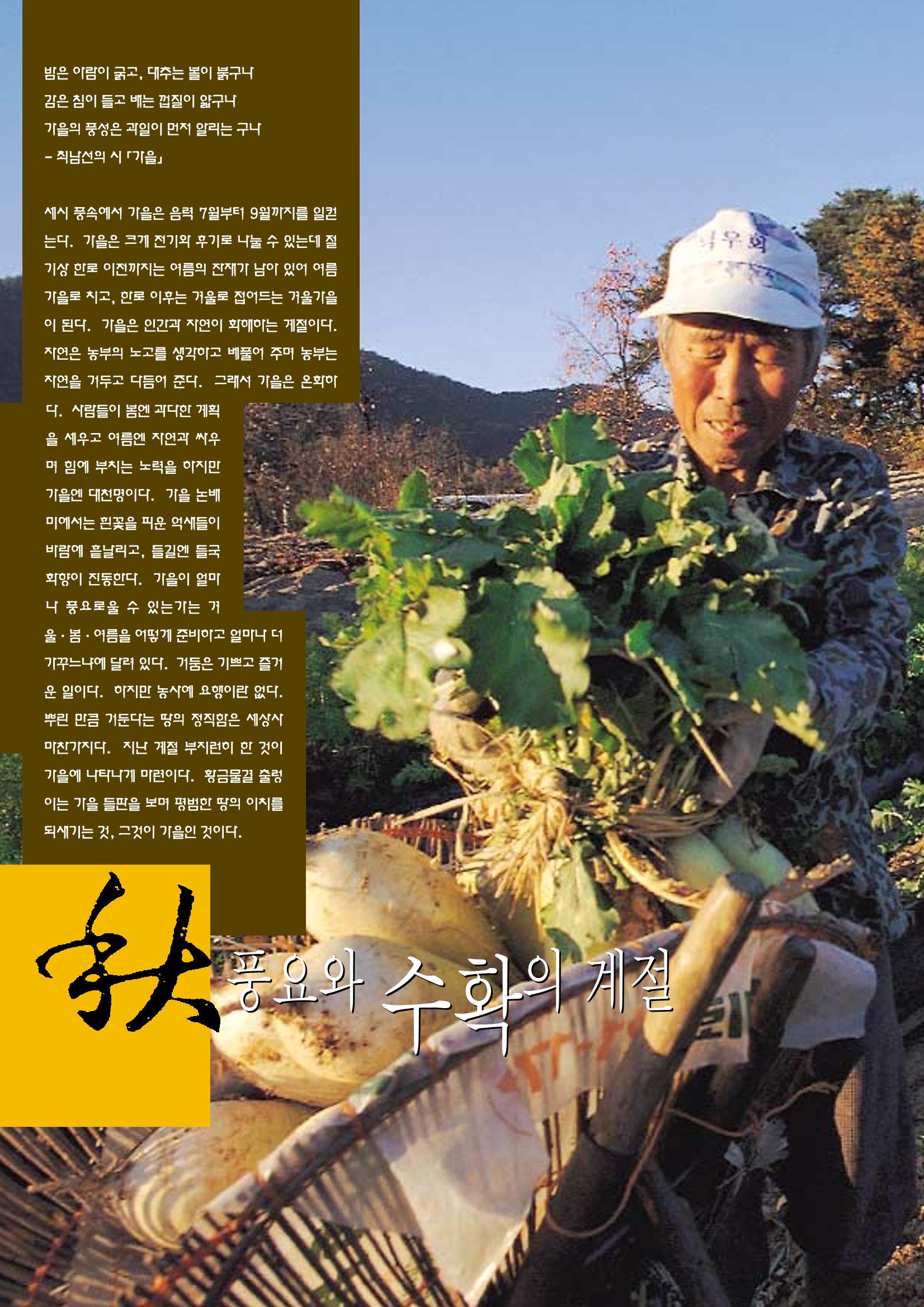 향토와 문화 vol.12 新 농가월령가(98년 11,12월) 47페이지