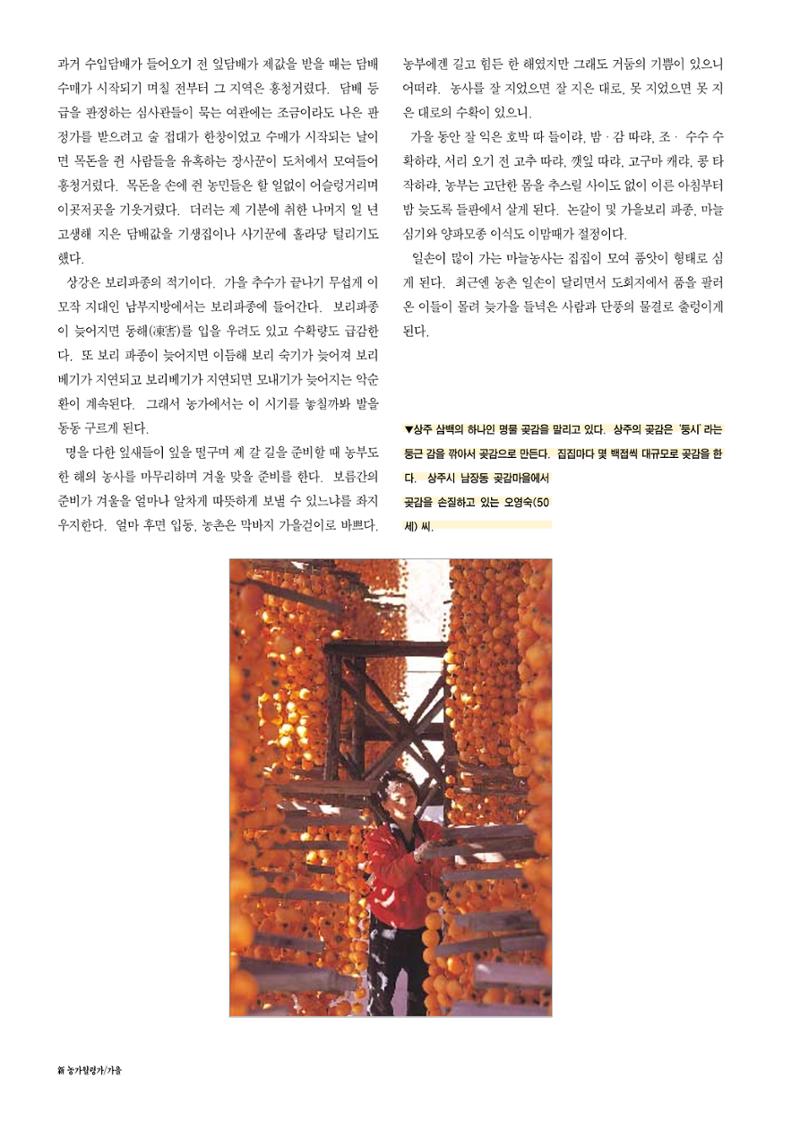 향토와 문화 vol.12 新 농가월령가(98년 11,12월) 63페이지