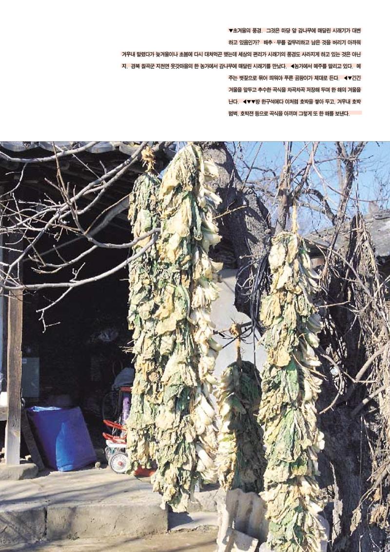향토와 문화 vol.12 新 농가월령가(98년 11,12월) 74페이지