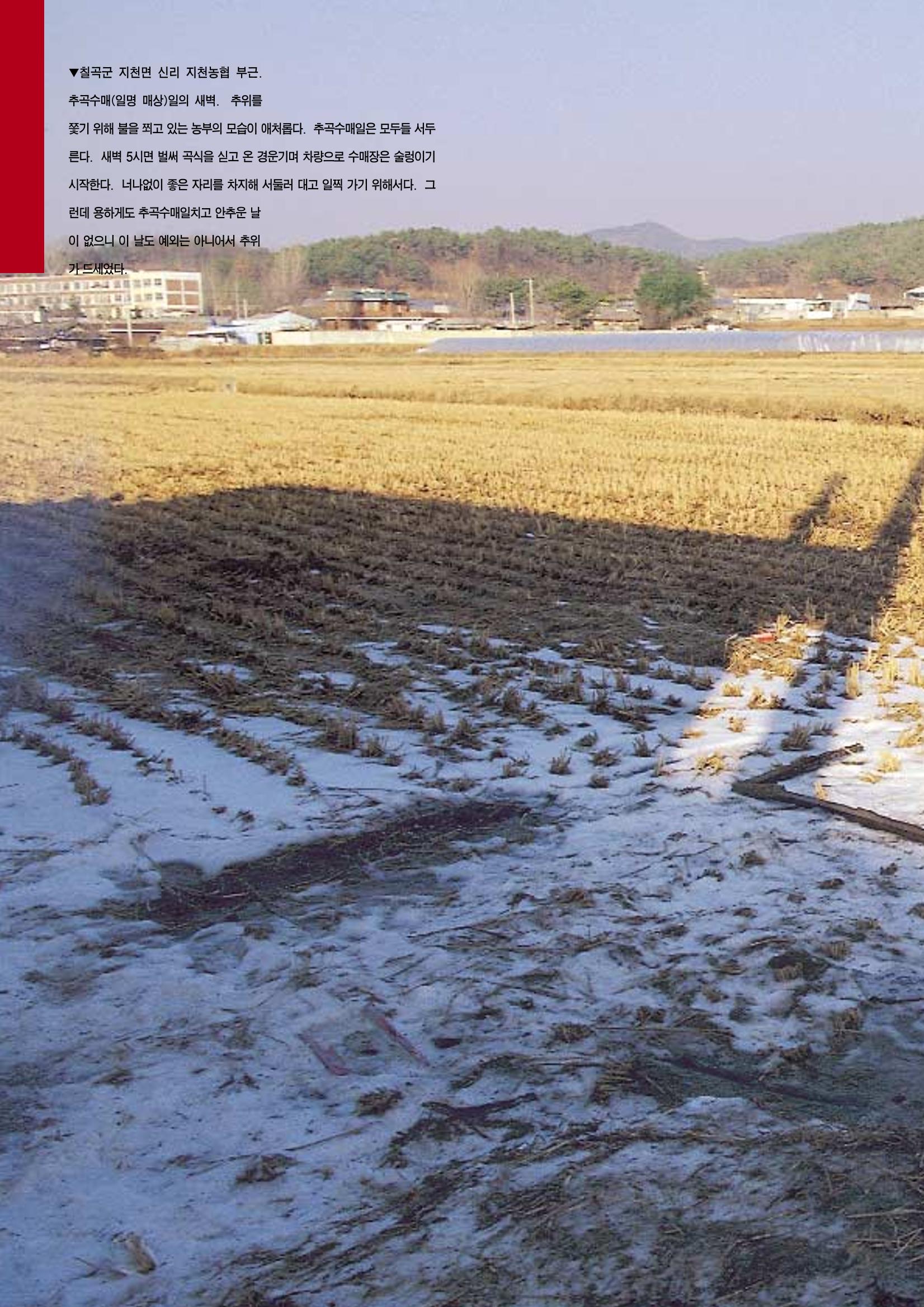 향토와 문화 vol.12 新 농가월령가(98년 11,12월) 77페이지