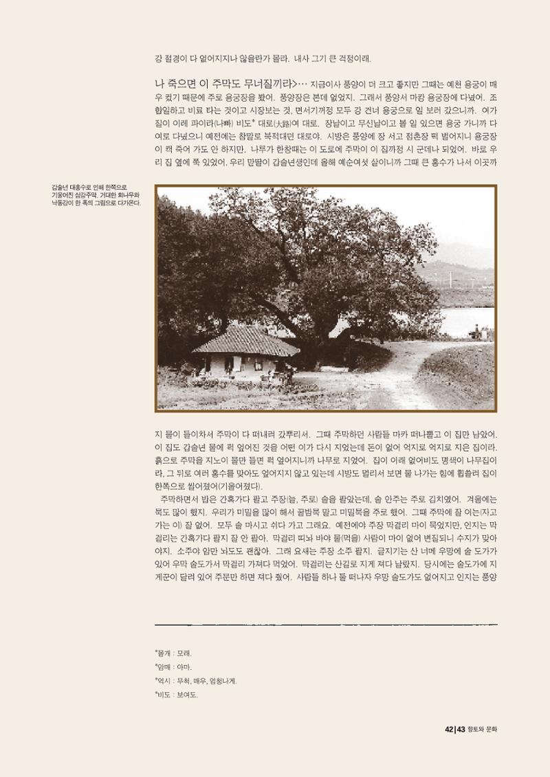 향토와 문화 vol.15 나의 20세기(99년 11,12월) 42페이지