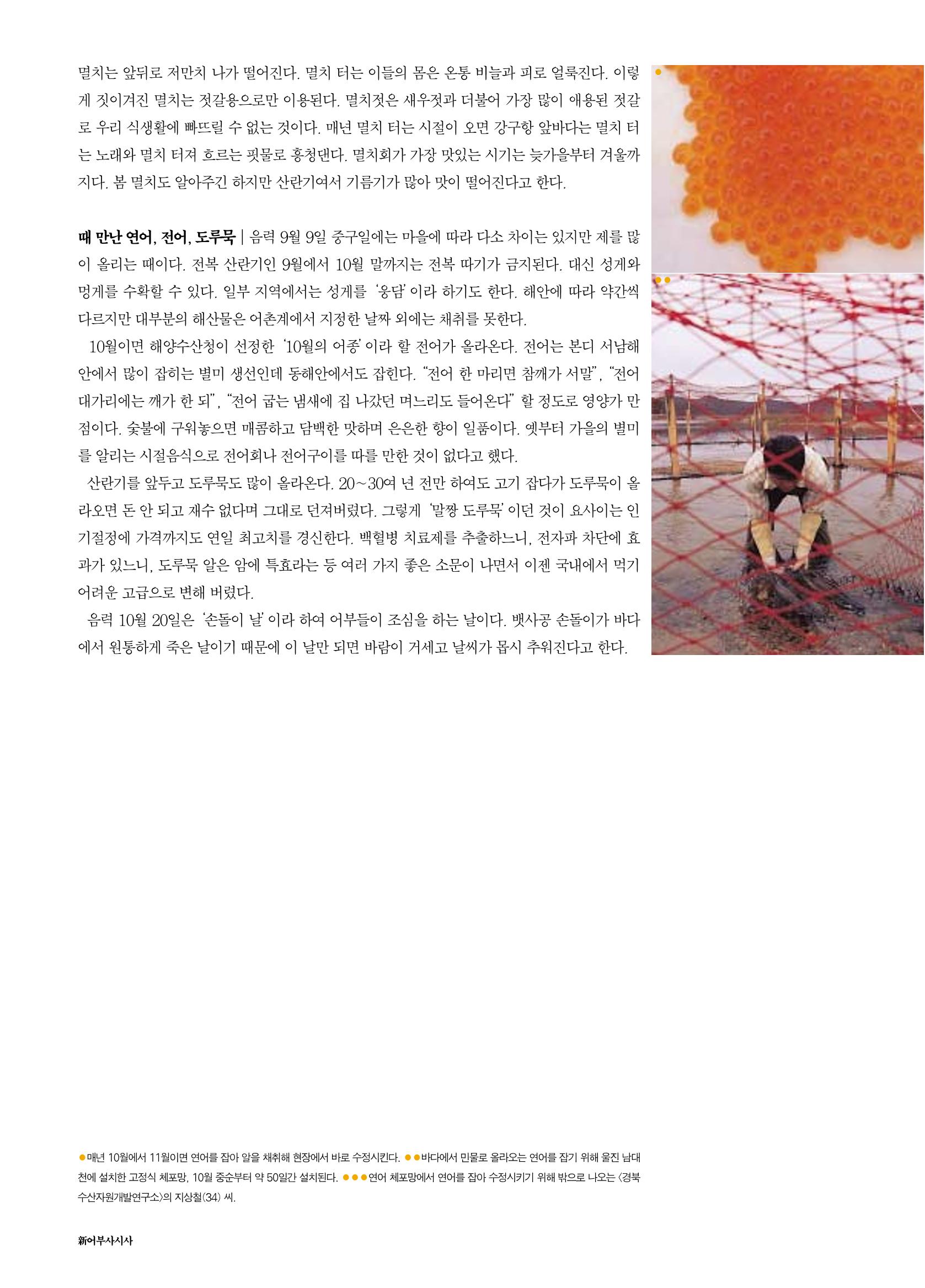 향토와 문화 vol.18 新 어부사시사(2000년 11,12월) 34페이지