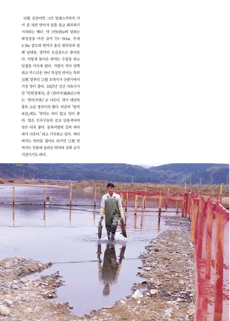 향토와 문화 vol.18 新 어부사시사(2000년 11,12월) 35페이지
