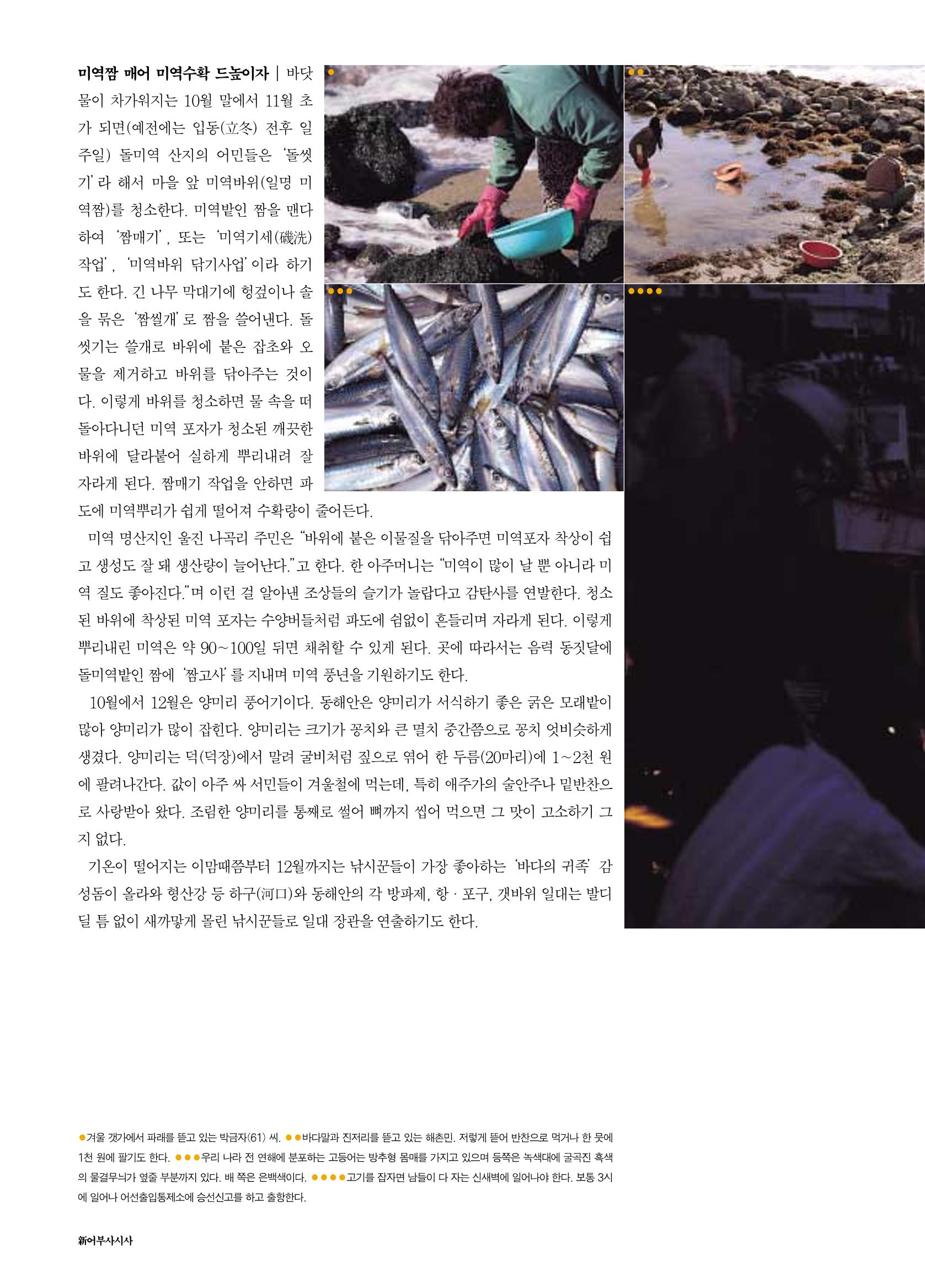 향토와 문화 vol.18 新 어부사시사(2000년 11,12월) 36페이지