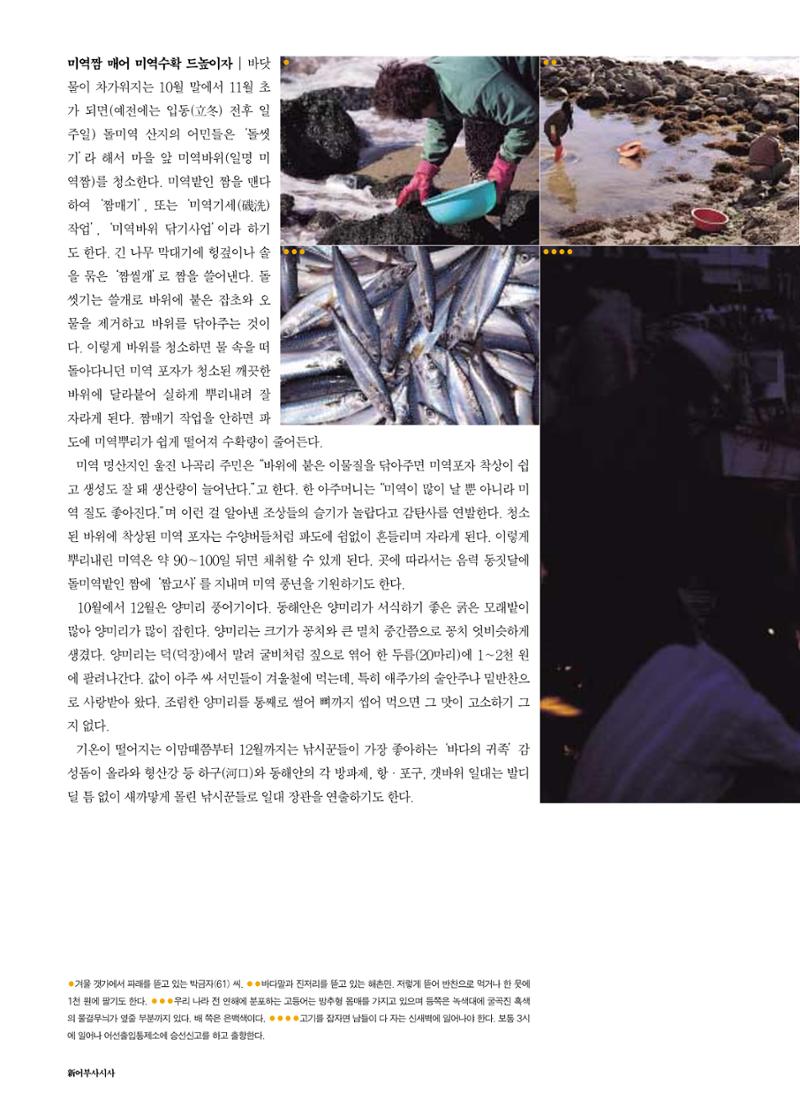 향토와 문화 vol.18 新 어부사시사(2000년 11,12월) 36페이지