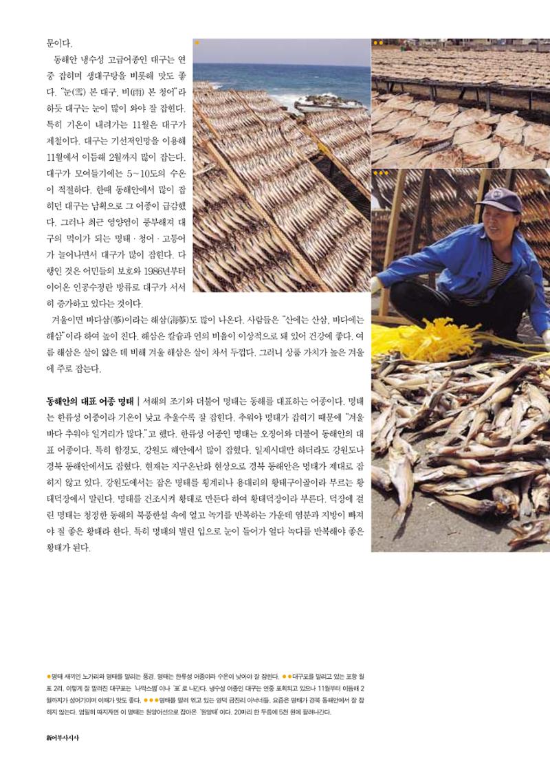 향토와 문화 vol.18 新 어부사시사(2000년 11,12월) 40페이지