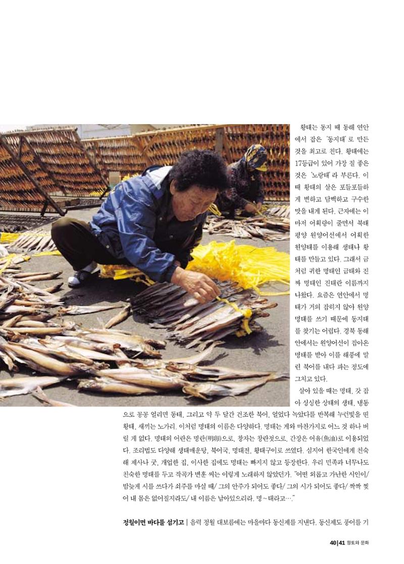 향토와 문화 vol.18 新 어부사시사(2000년 11,12월) 41페이지