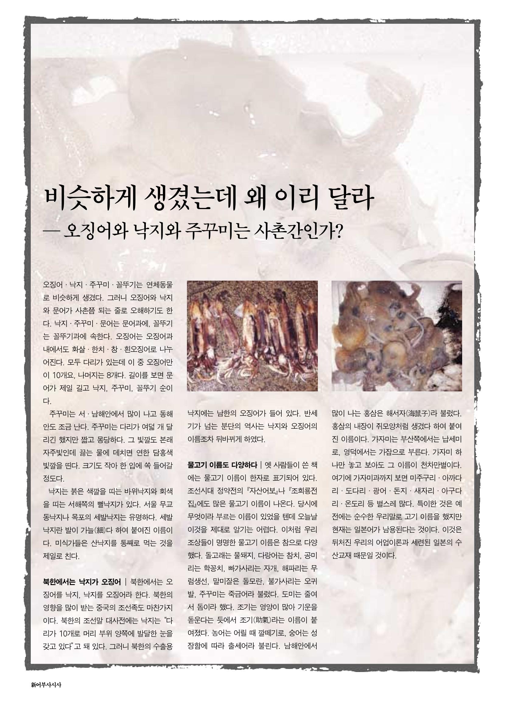 향토와 문화 vol.18 新 어부사시사(2000년 11,12월) 58페이지