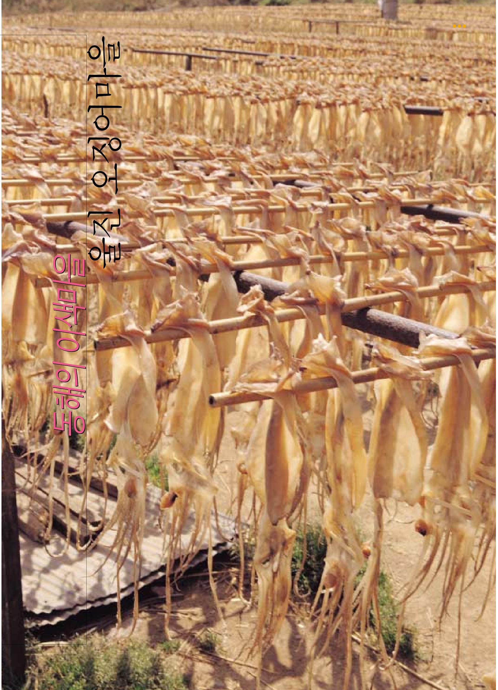 향토와 문화 vol.18 新 어부사시사(2000년 11,12월) 63페이지