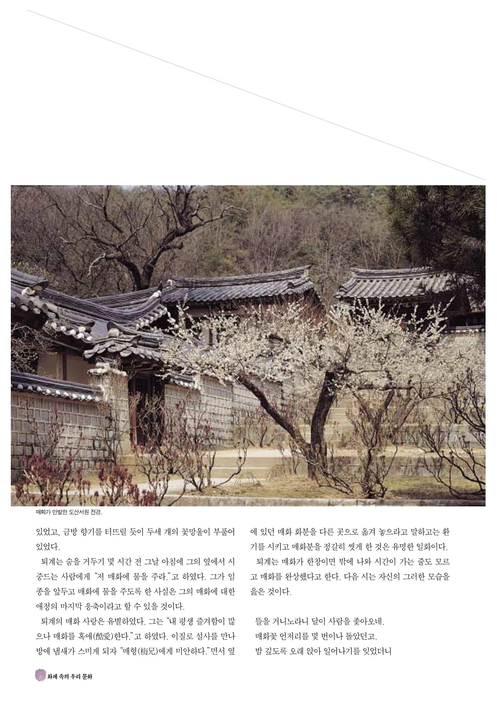 향토와 문화 vol.19 화폐속의 우리문화(2001년 3,4월) 52페이지