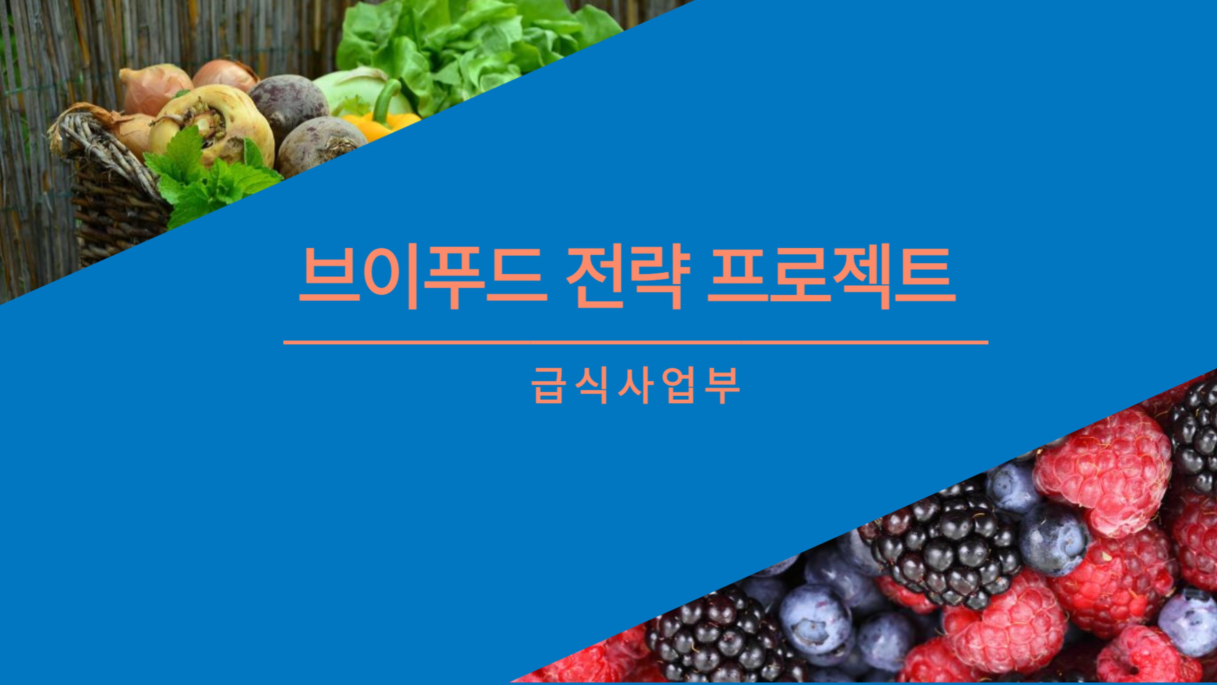 전략자료 1페이지