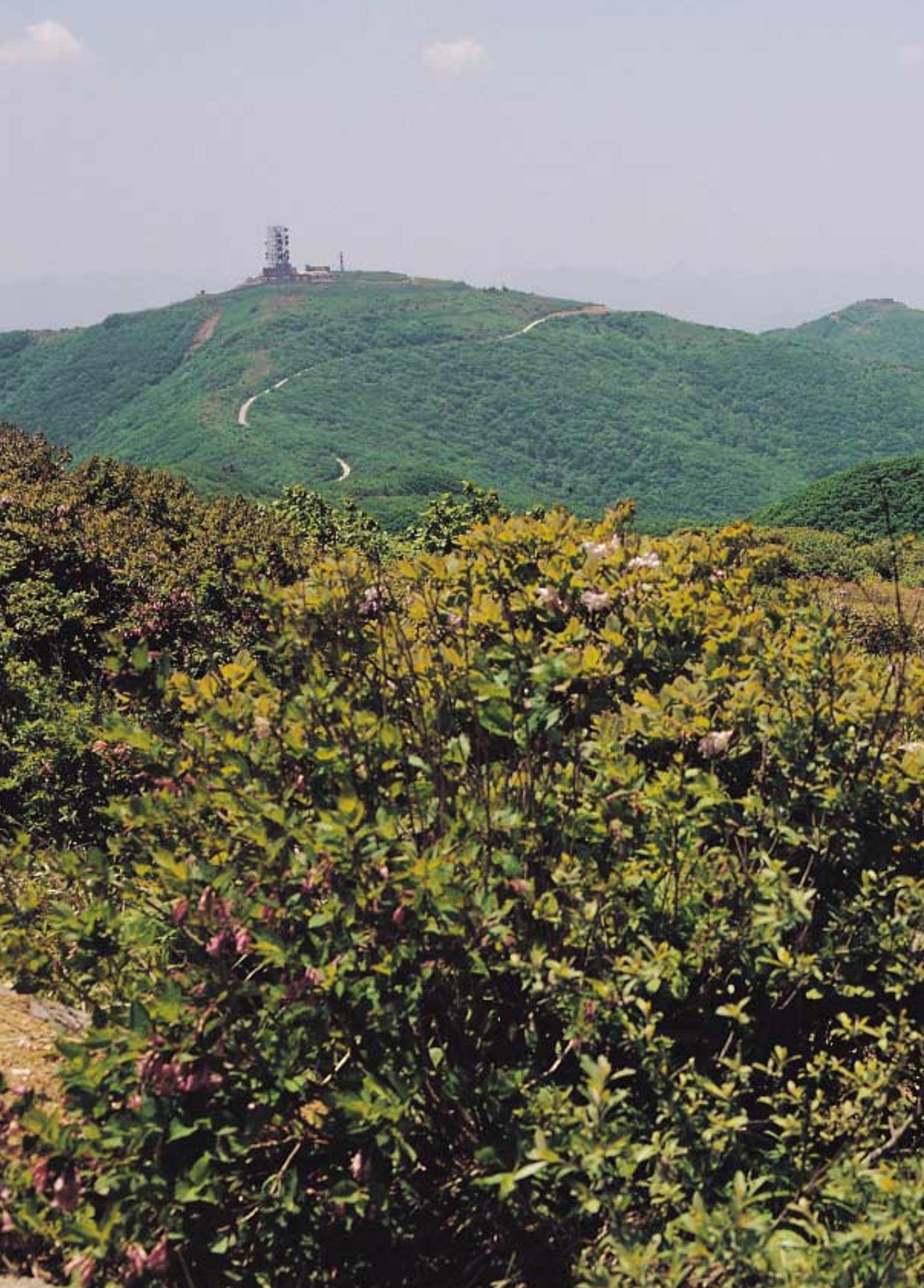 향토와 문화 vol.21 산절로 수절로(2001년 11,12월) 16페이지