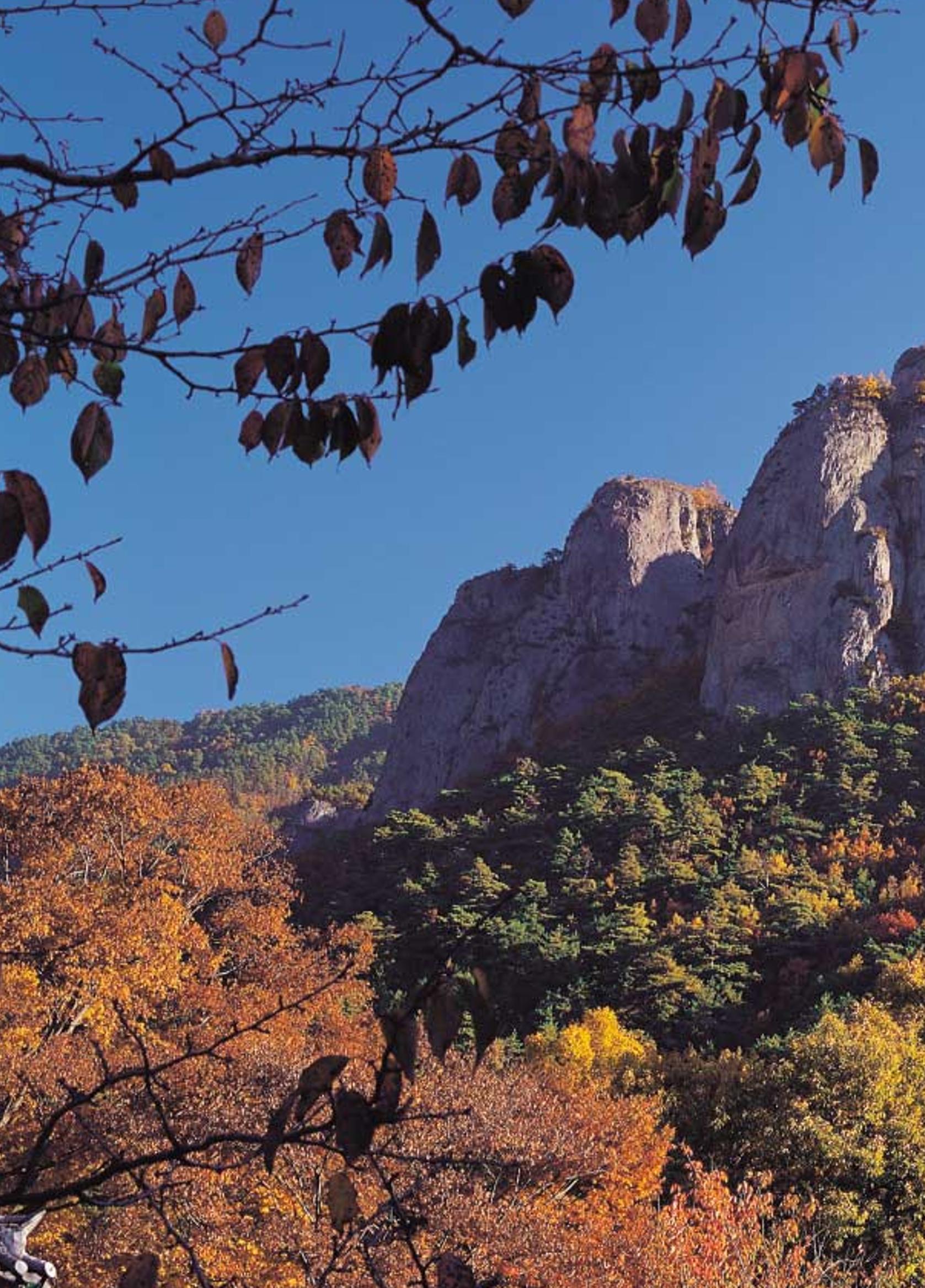 향토와 문화 vol.21 산절로 수절로(2001년 11,12월) 60페이지