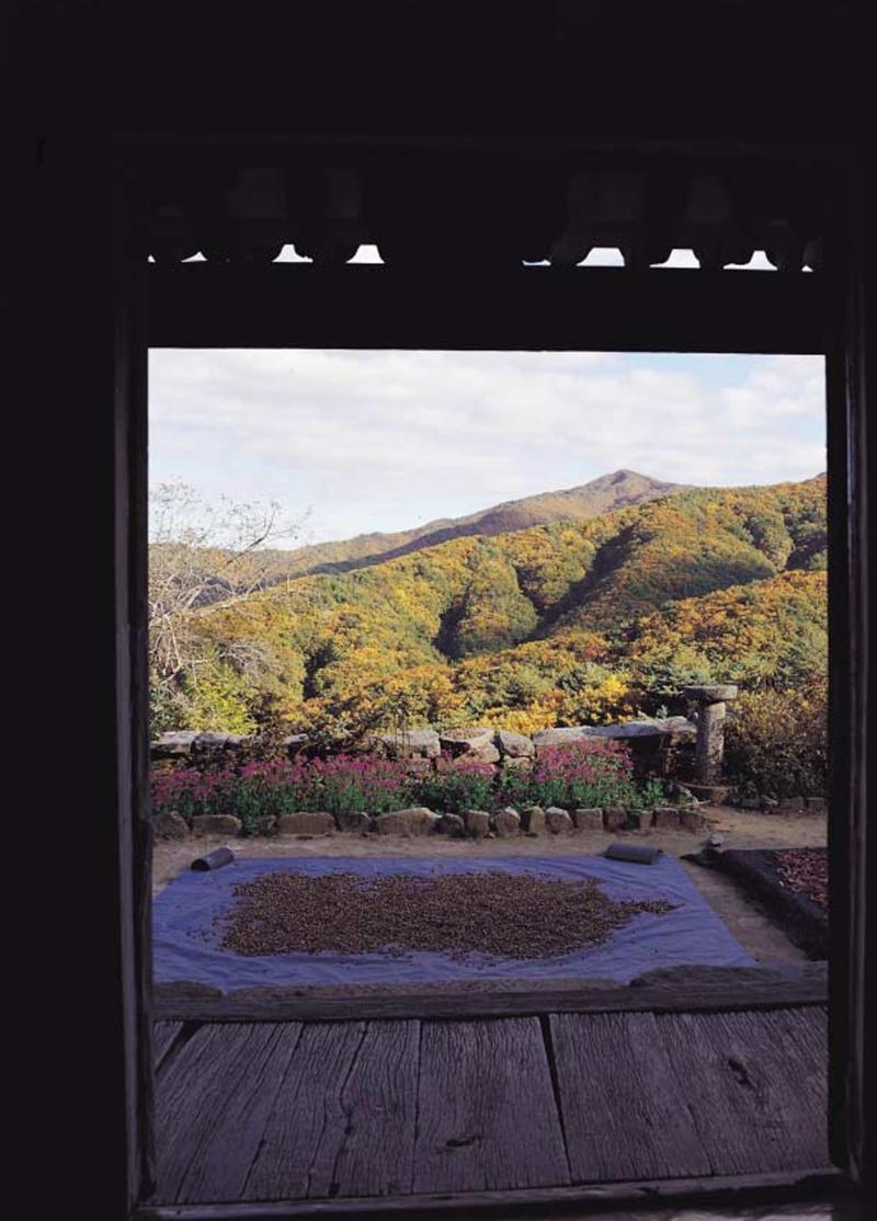 향토와 문화 vol.21 산절로 수절로(2001년 11,12월) 78페이지