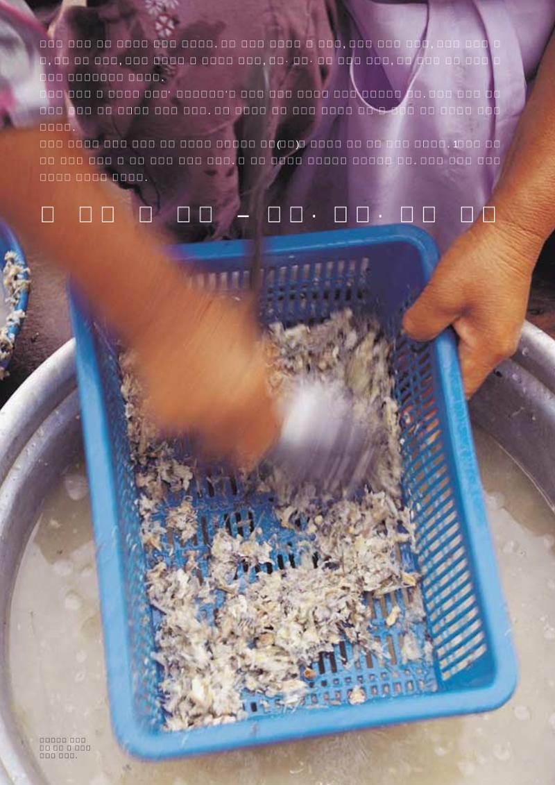 향토와 문화 vol.23 우리땅 우리맛(2002년 7,8월) 24페이지