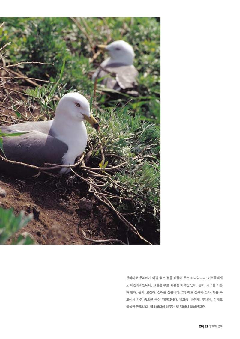 향토와 문화 vol.24 애국지사 獨島(2002년 9,10월) 21페이지