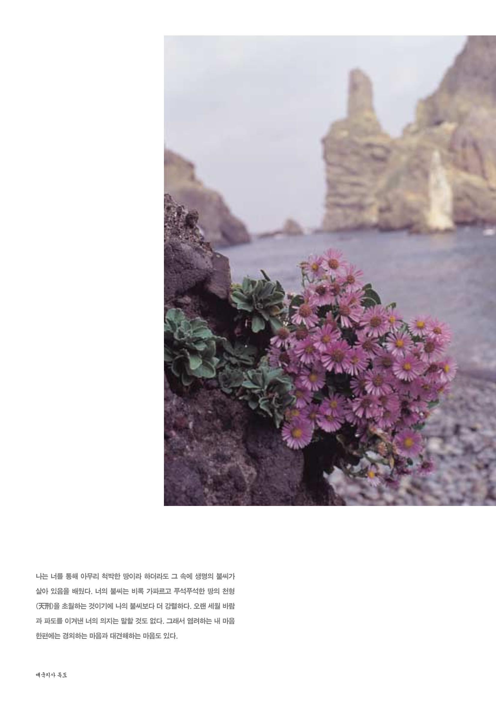 향토와 문화 vol.24 애국지사 獨島(2002년 9,10월) 30페이지
