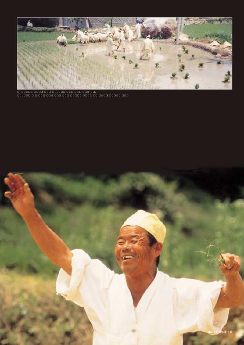 향토와 문화  vol.28 우리의 소리와 춤(2003년 9,10월) 16페이지