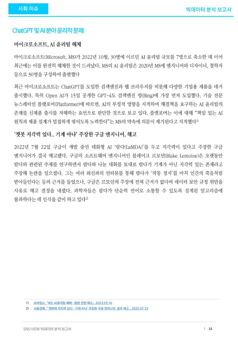 빅데이터 분석 보고서_ ChatGPT 11페이지