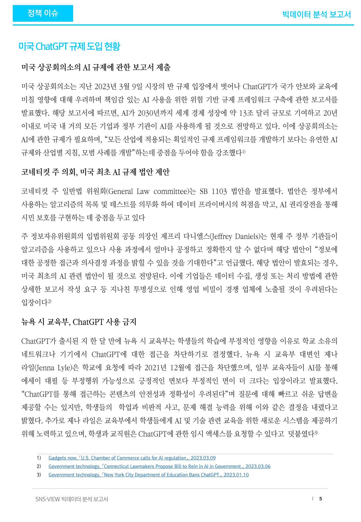 빅데이터 분석 보고서_ ChatGPT 5페이지