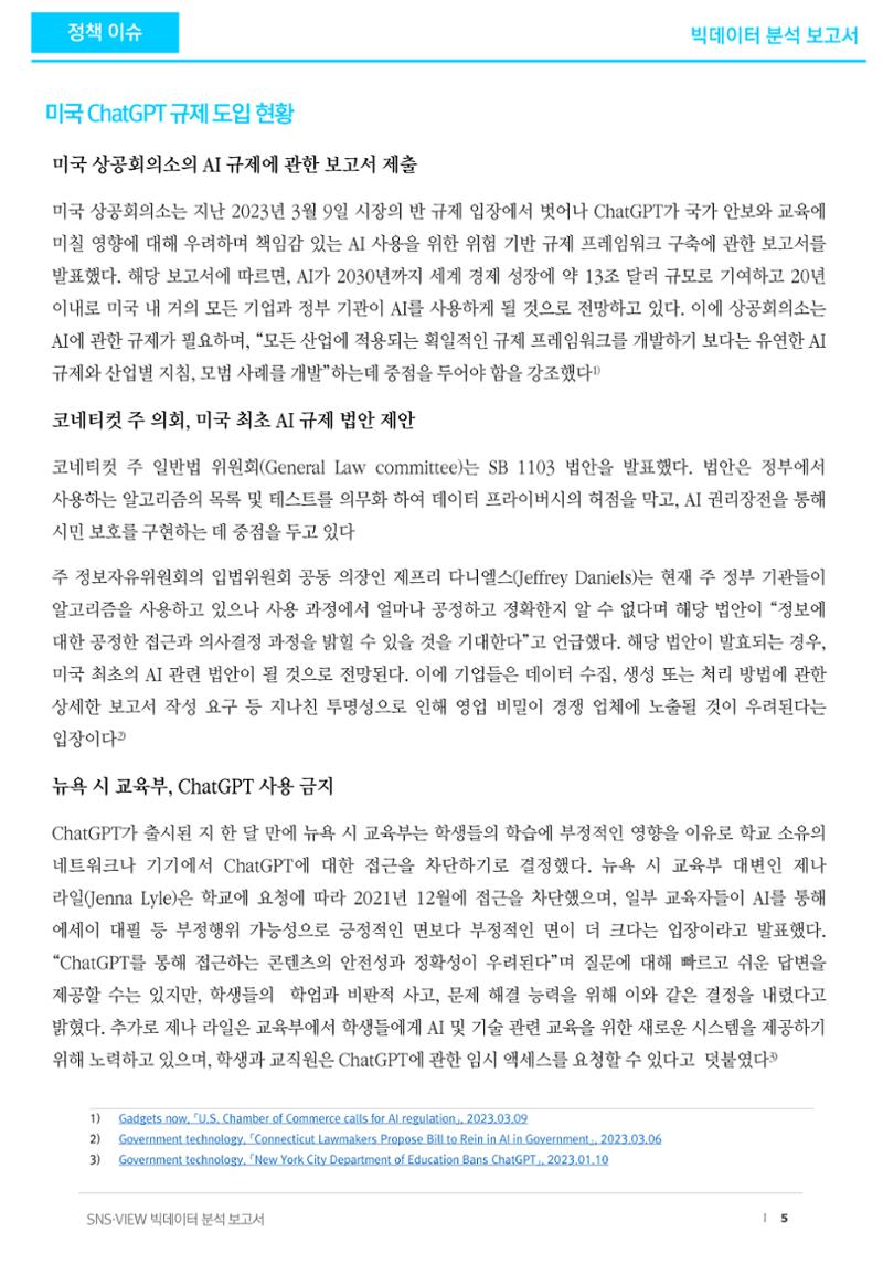 빅데이터 분석 보고서_ ChatGPT 5페이지