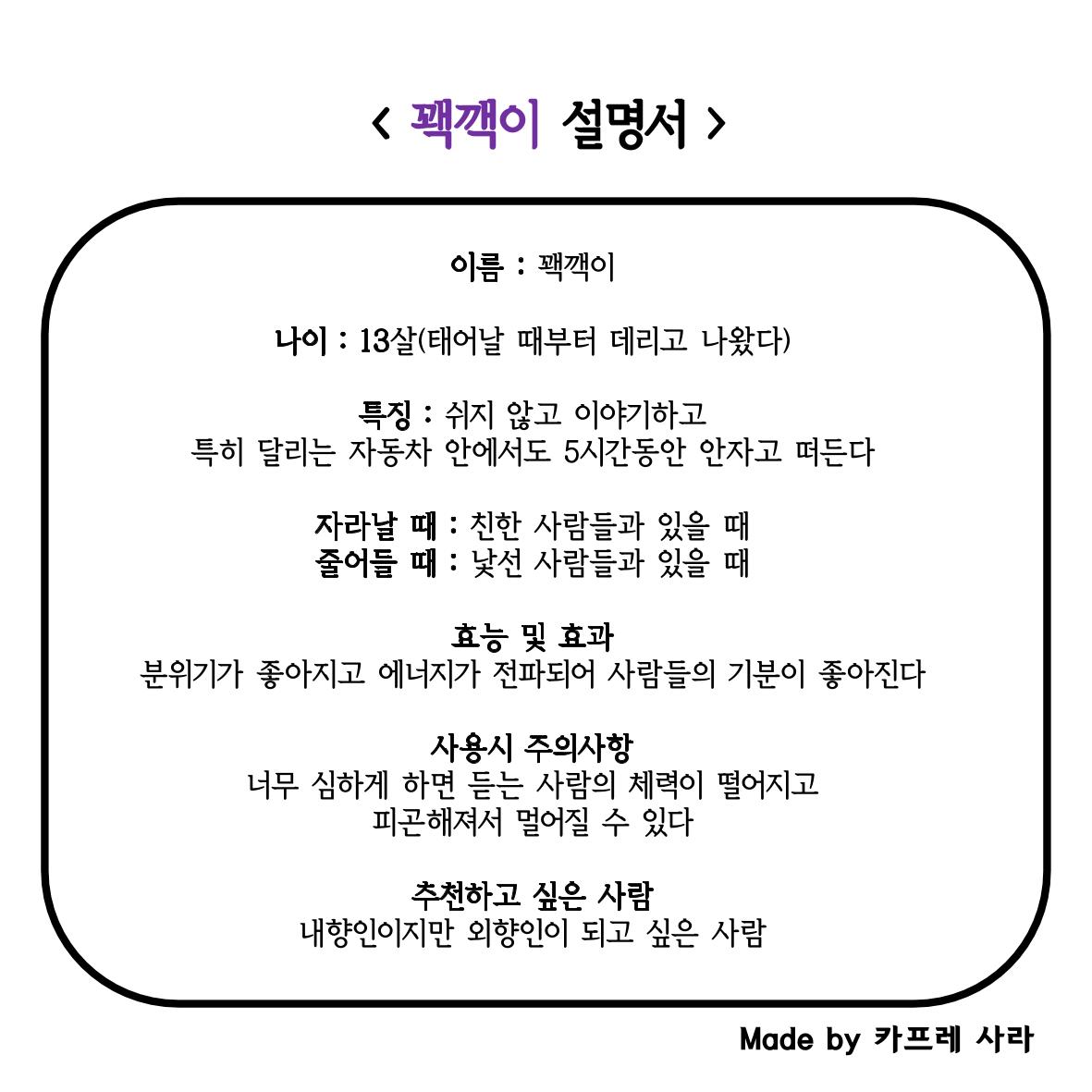 단점 설명서 11페이지