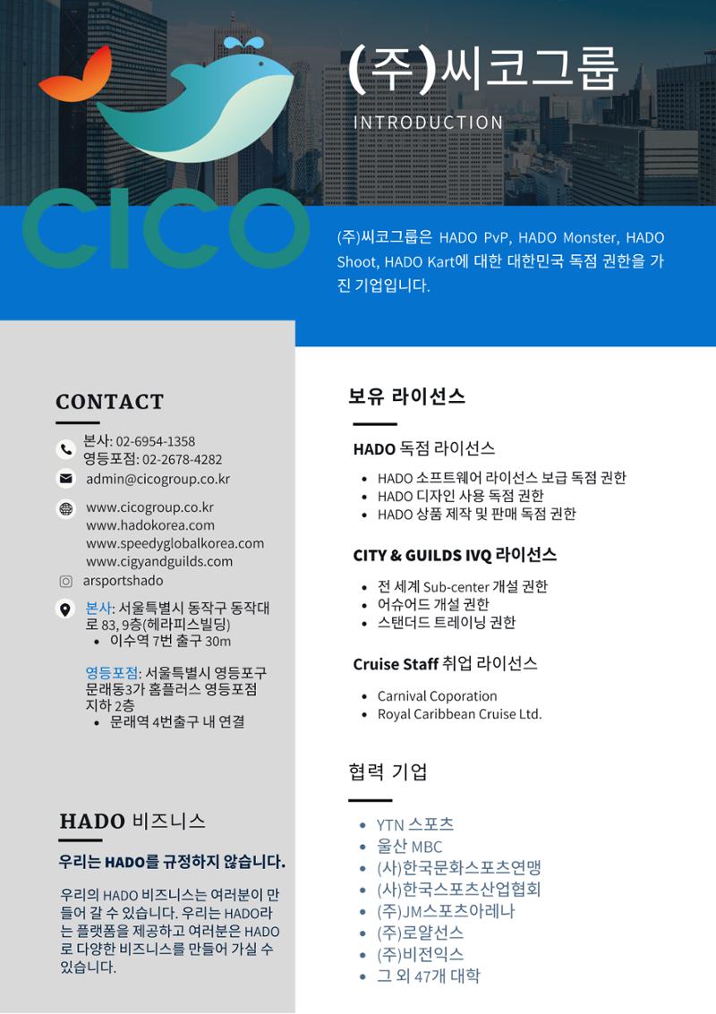 리얼가상스포츠AR스포츠HADO 2페이지